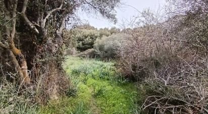 Block of flats in Telti (07020) of 100 m²