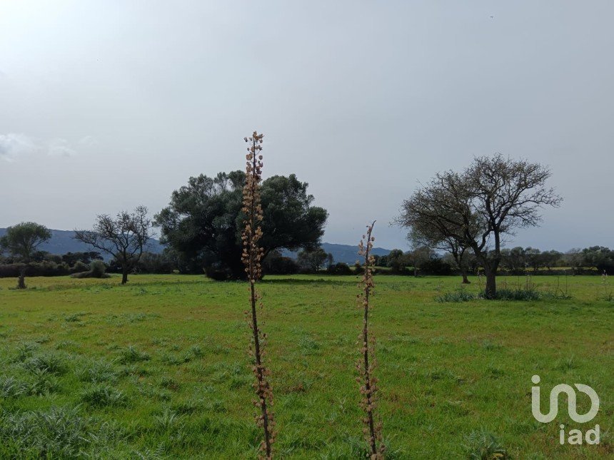 Terreno di 16.492 m² in Telti (07020)