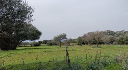 Land of 16,492 m² in Telti (07020)