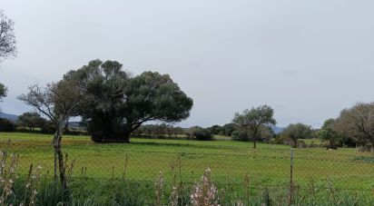 Land of 16,492 m² in Telti (07020)