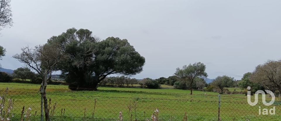 Terreno di 16.492 m² in Telti (07020)