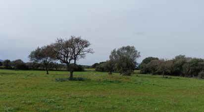 Land of 16,492 m² in Telti (07020)