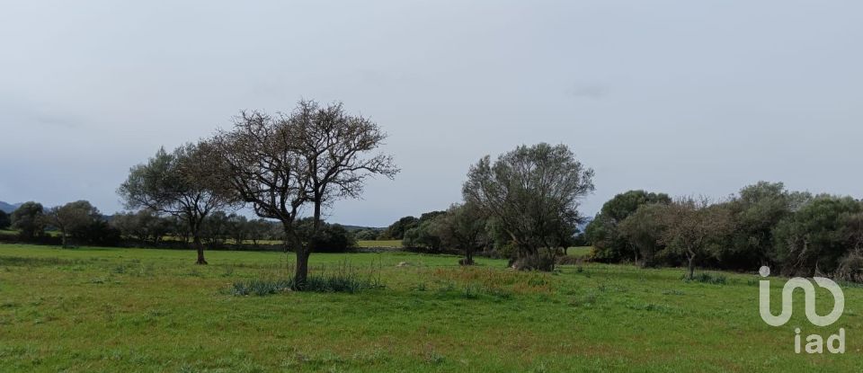 Terreno di 16.492 m² in Telti (07020)