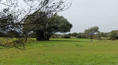 Land of 16,492 m² in Telti (07020)