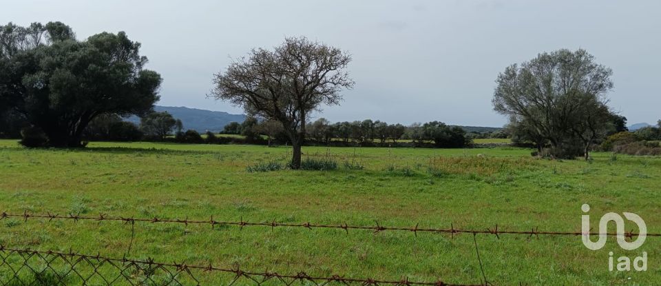 Terreno di 16.492 m² in Telti (07020)