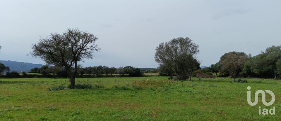 Terreno di 16.492 m² in Telti (07020)