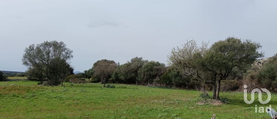 Terreno di 16.492 m² in Telti (07020)