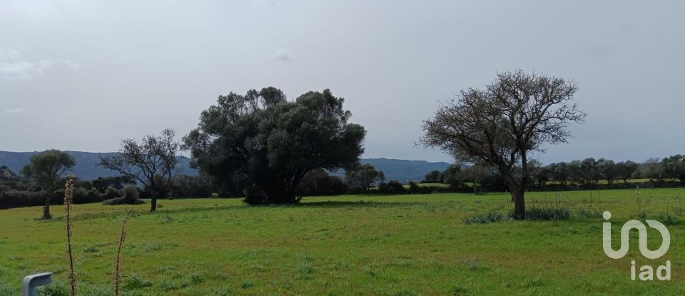 Terreno di 16.492 m² in Telti (07020)