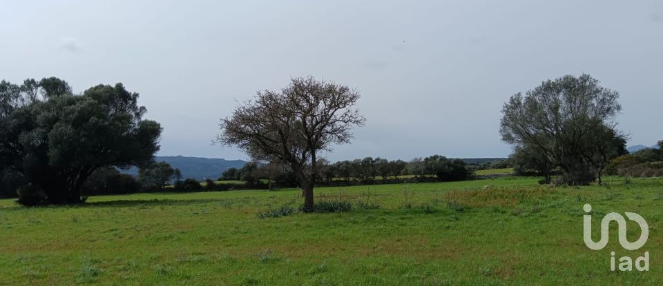 Terreno di 16.492 m² in Telti (07020)
