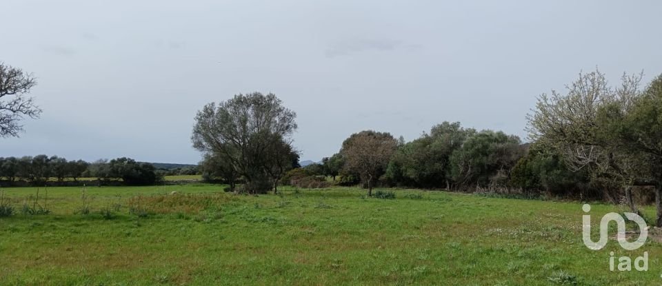 Terreno di 16.492 m² in Telti (07020)