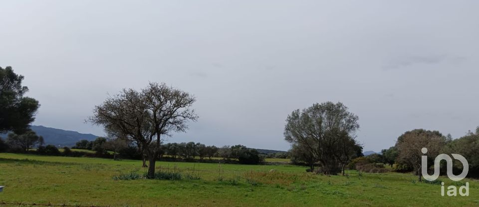 Terreno di 16.492 m² in Telti (07020)