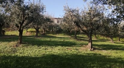 Casa indipendente / Villa 10 locali di 203 m² in Città Sant'Angelo (65013)