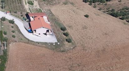 Casa indipendente 3 locali di 130 m² in Pineto (64025)