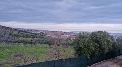 Terreno di 1.545 m² in Tortoreto (64018)