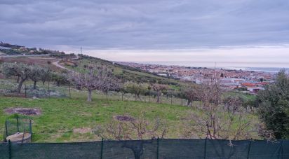 Terreno di 1.545 m² in Tortoreto (64018)