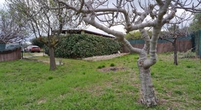 Terreno di 1.545 m² in Tortoreto (64018)