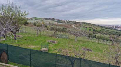 Terreno di 1.545 m² in Tortoreto (64018)