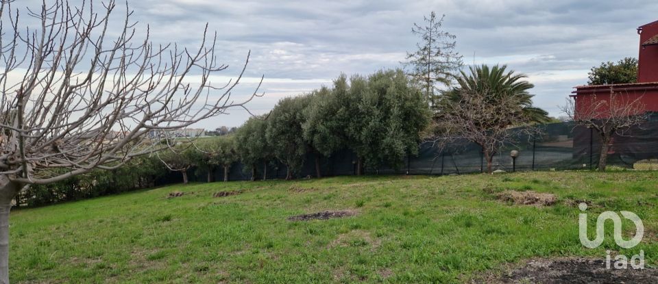 Land of 1,545 m² in Tortoreto (64018)