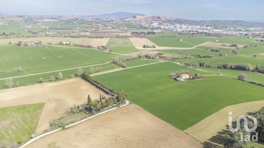 Land of 37,290 m² in Recanati (62019)