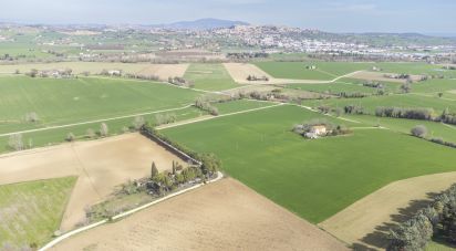 Terreno di 37.290 m² in Recanati (62019)
