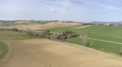 Land of 37,290 m² in Recanati (62019)