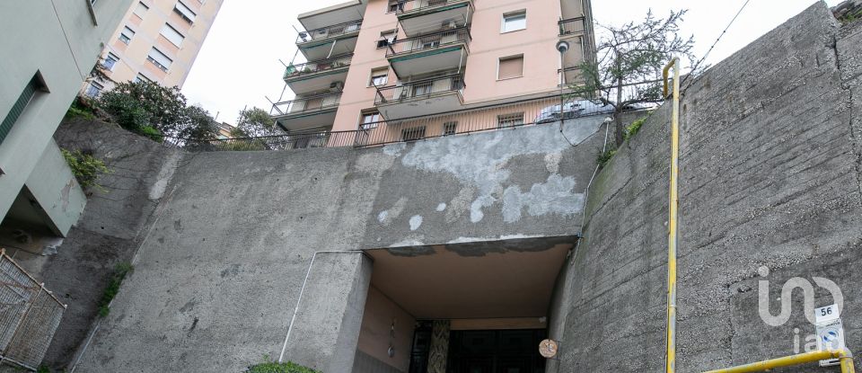 Bilocale di 65 m² a Genova (16149)