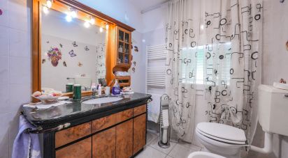 Casa indipendente 7 locali di 128 m² in Migliarino (44027)