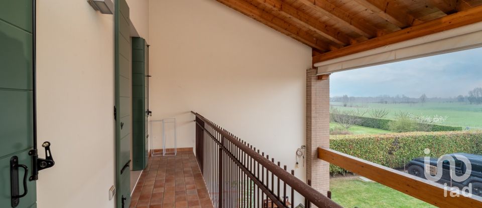 Villa Bifamiliare 5 locali di 245 m² a Vigonza (35010)