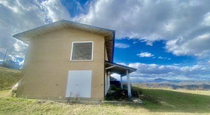 Villa a schiera 8 locali di 270 m² in Controguerra (64010)