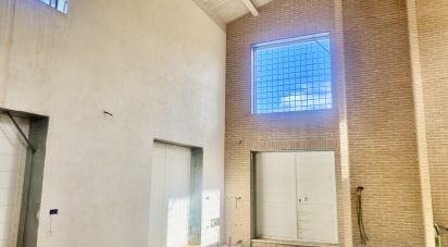 Villa a schiera 8 locali di 270 m² in Controguerra (64010)