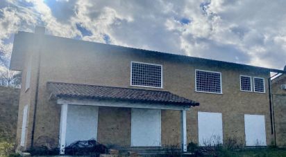 Villa a schiera 8 locali di 270 m² in Controguerra (64010)