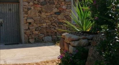 Terreno di 5.600 m² in Oliena (08025)