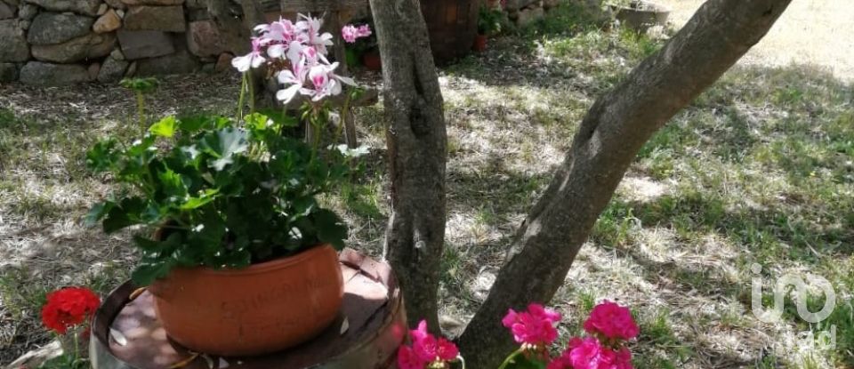 Terreno di 5.600 m² in Oliena (08025)