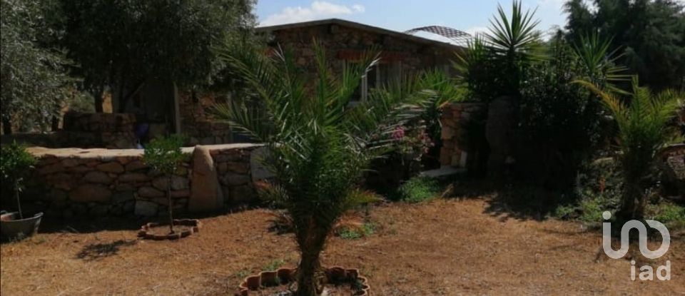 Terreno di 5.600 m² in Oliena (08025)