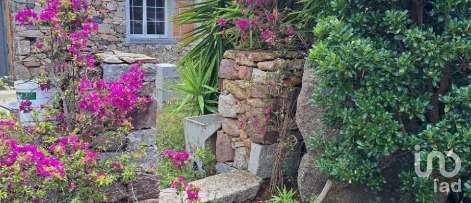 Terreno di 5.600 m² in Oliena (08025)