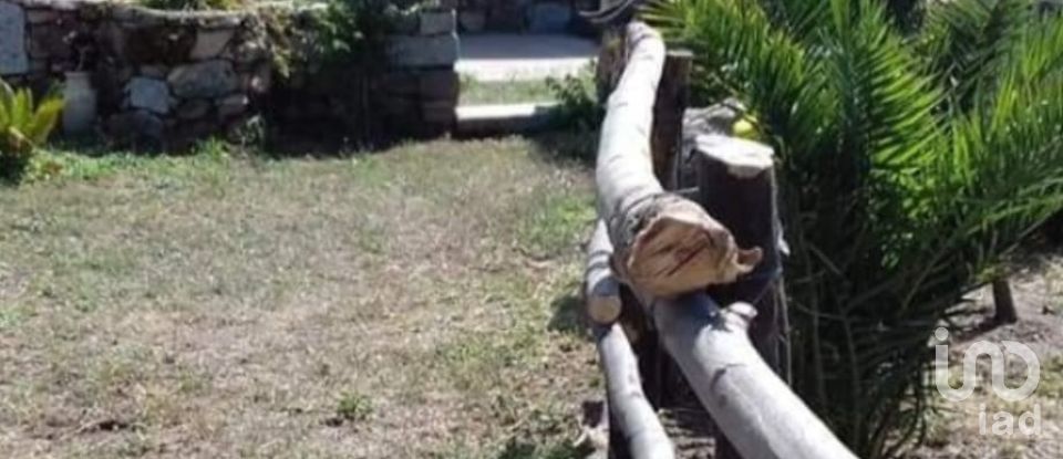 Terreno di 5.600 m² in Oliena (08025)