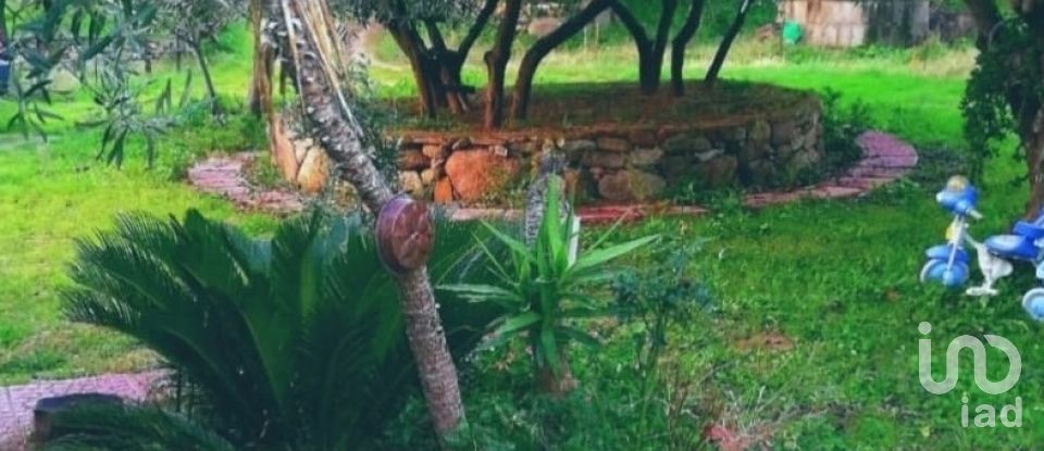 Terreno di 5.600 m² in Oliena (08025)