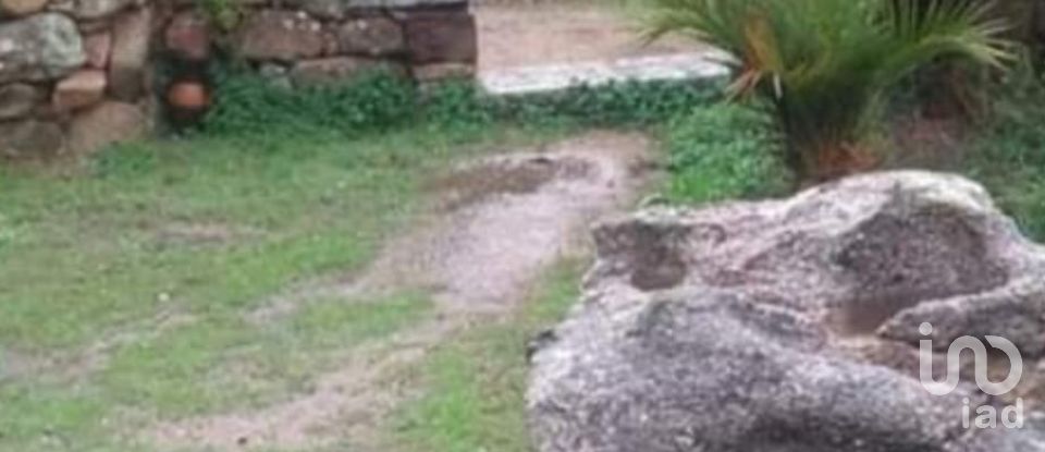 Terreno di 5.600 m² in Oliena (08025)