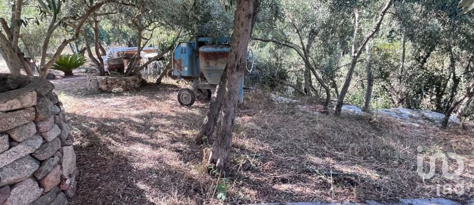 Terreno di 5.600 m² in Oliena (08025)