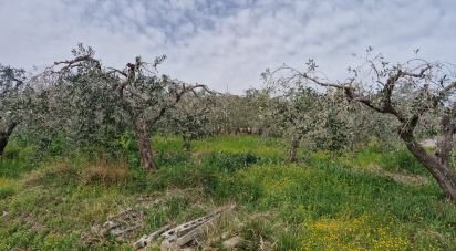 Terreno di 1.100 m² in Teramo (64100)