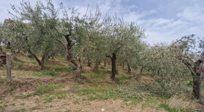 Terreno di 1.100 m² in Teramo (64100)