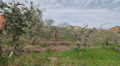 Terreno di 1.260 m² in Teramo (64100)