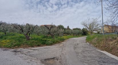 Terreno di 1.260 m² in Teramo (64100)