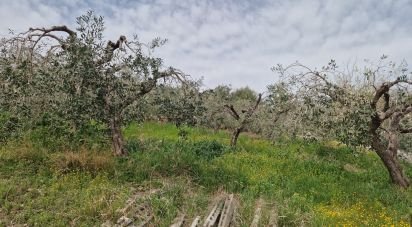 Terreno di 1.300 m² in Teramo (64100)