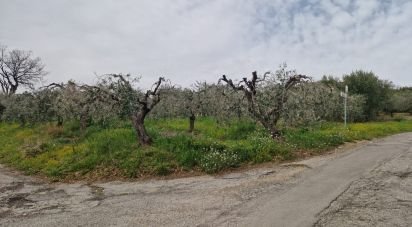 Terreno di 1.300 m² in Teramo (64100)