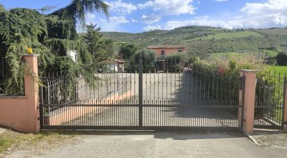 Casa indipendente 8 locali di 8.000 m² in Controguerra (64010)