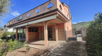 Casa indipendente 8 locali di 8.000 m² in Controguerra (64010)