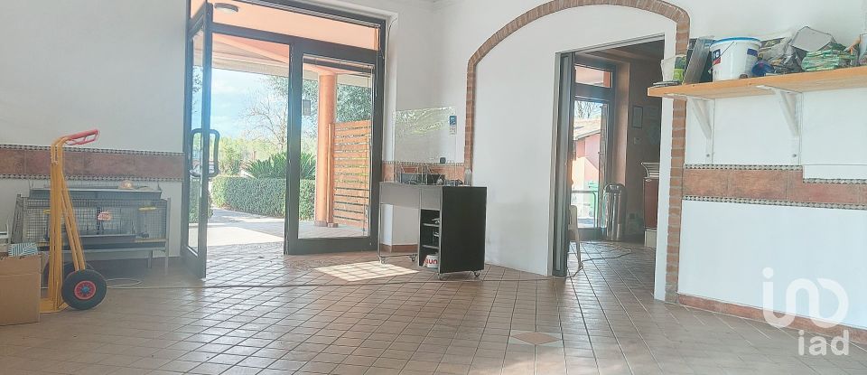 Townhouse 8 rooms of 8,000 m² in Controguerra (64010)