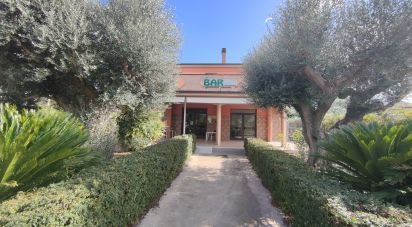 Casa indipendente 8 locali di 8.000 m² in Controguerra (64010)