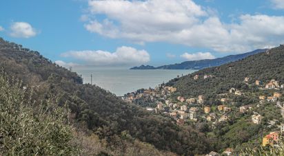 Villa Bifamiliare 10 locali di 190 m² a Zoagli (16030)